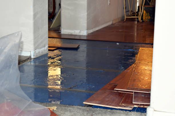 Professional Basement Flood Cleanup technician working in Costa, WV